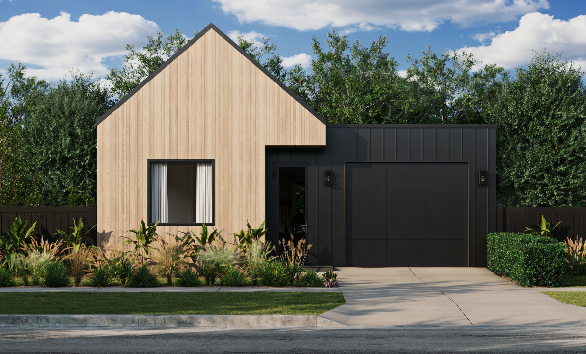 Momo Co-Live front angle view